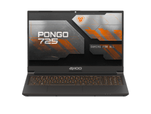 2. Axioo Pongo 725
